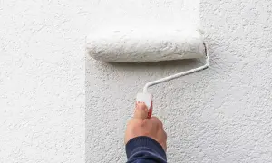 Hand rollt weiße Farbe auf eine strukturierte Wand. Die Frage, welche Wandfarbe deckt am besten, wird hier visuell beantwortet.