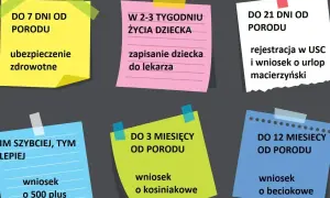 Terminy formalności po porodzie: ubezpieczenie, rejestracja dziecka, urlop macierzyński, wniosek o 500+, kosiniakowe, beciokowe. Czy jest obowiązek meldunku? Nie ma go na liście.
