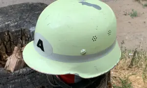 Jasnozielony hełm z czarną cyfrą "4" na białej naklejce, leżący na pniu drzewa.