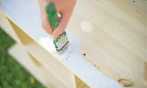 Dłoń z pędzlem maluje drewnianą półkę na biało. Srebrzanka nada jej nowy, świeży wygląd.