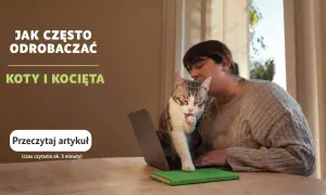 Co ile odrobaczanie kota? Kluczowe informacje dla zdrowia pupila