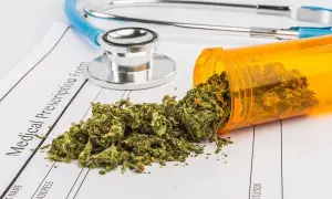 THC na receptę? Jak legalnie uzyskać medyczną marihuanę w Polsce