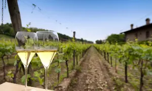Due calici di Franciacorta metodo classico, con vigneti e una casa in lontananza sotto un cielo azzurro.