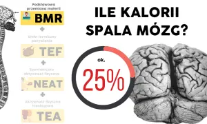 Czy rozciąganie spala kalorie? Poznaj fakty i prawdziwe korzyści!