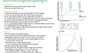 Notizen zu enzymatischen Reaktionen: Die RGT-Regel beschreibt, wie sich die Reaktionsgeschwindigkeit mit der Temperatur ändert.