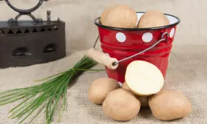 Stare żelazko i czerwone wiaderko w groszki pełne świeżych ziemniaków. Obok pęczek szczypiorku.