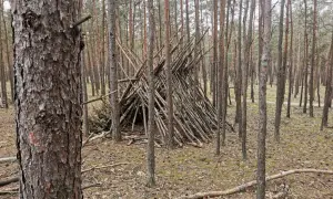 Jak przetrwać w lesie? Kompletny poradnik survivalowy krok po kroku