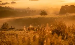 Fotograf jak zacząć - Kluczowe wskazówki dla początkujących fotografów