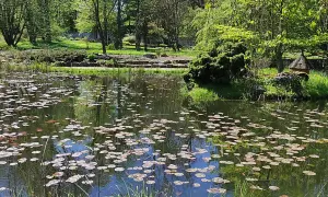 Atrakcje w arboretum w Rogowie, które musisz zobaczyć podczas wizyty