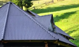 Jaką farbę na dach wybrać, aby uniknąć kosztownych napraw?