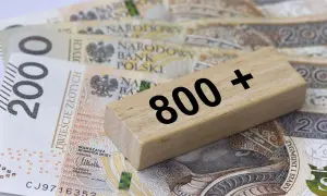 Uwaga! Ostateczny termin 800 plus: Nie przegap złożenia wniosku i strać szansę na świadczenie