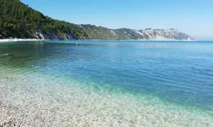 Acque cristalline e ciottoli bianchi sulla spiaggia di Ancona, con la costa verdeggiante e le maestose falesie sullo sfondo.