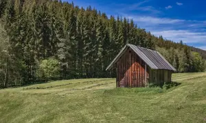 Pequeña casa de aperos de madera, con tejado a dos aguas, en un prado verde junto a un denso bosque. Ideal para planos de casa de aperos como vivienda.