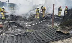 Pożar w stadninie: Jak uchronić konie i zapobiec tragedii?