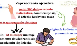 Grafika ilustruje zaprzeczenie ojcostwa. Pokazuje ciążę, test ciążowy, prawniczkę Martę Wnuk, mężczyznę piszącego dokument i obrączki.