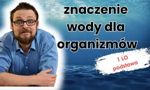 Znaczenie wody dla organizmów żywych: klucz do życia i zdrowia