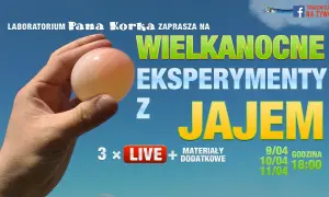 7 eksperymentów z jajkiem: Odkryj naukę przez zabawę dla dzieci!