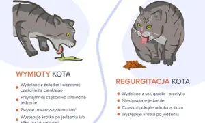 Kot a rzeżucha: Bezpieczna czy groźna? Sprawdź zanim podasz!