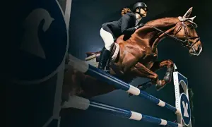 Jeździectwo: Sport czy rekreacja? Zrozum i wybierz mądrze