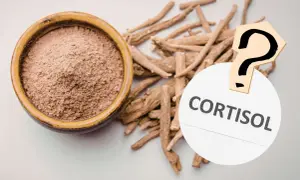 Ashwagandha-Wurzeln und Pulver neben einem Fragezeichen und dem Wort "Cortisol". Hilft Ashwagandha bei der Cortisol-Regulation?