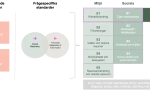 Schema för CSRD-direktivets standarder: övergripande, specifika, miljö, sociala och styrning.