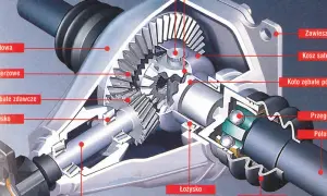 Przekrój mechanizmu różnicowego (dyferencjał) z widocznymi kołami zębatymi, łożyskami i półosią.