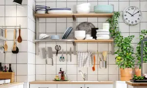 Una cocina pequeña y funcional con estantes llenos de vajilla, utensilios colgados y plantas verdes.