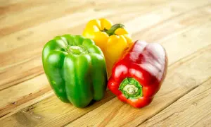 Tres pimientos de colores (rojo, verde, amarillo) sobre una mesa de madera. Los perros pueden comer pimiento.