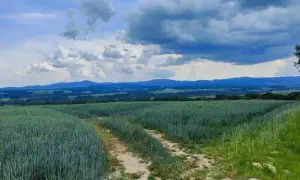 Atrakcje nad jeziorem Otmuchowskim, które musisz zobaczyć podczas wizyty