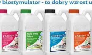 Cztery białe kanistry z biostymulatorami Agro Sorb Folium, L-Amino+Mg, L-Amino+Ca, L-Amino+B.