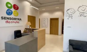 Pracownia integracji sensorycznej: Jak pomóc dziecku z trudnościami?