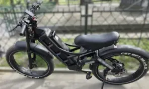 Motorower na ścieżce rowerowej? Uniknij mandatu! Prawo 2024