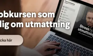 Webbkurs om stress och utmattning. Lär dig hantera känslor av att vara mentalt utmattad. Klicka här för att börja.