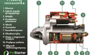 Przekrój rozrusznika ukazuje jego budowę: głowicę, zębnik, widełki, przekładnię planetarną, wirnik, komutator, szczotkotrzymacz, obudowę, stojan z magnesami, przyłącze zasilania i włącznik elektromagnetyczny.