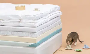 A stack of mattress toppers, showing what mattress toppers are made of: down, memory foam, and latex. A cat plays with peas near teacups.
