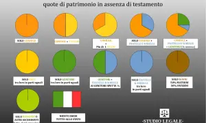 Successione legittima: quote di patrimonio. Se sei un erede, posso aiutarti a capire come posso fare la successione solo per la mia quota.