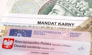 Mandat karny, prawo jazdy i dowód osobisty na tle banknotu. Ile jest pytań na prawo jazdy? To zależy od kategorii.