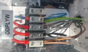 Widok z bliska na zaciski elektryczne z podłączonymi przewodami w różnych kolorach (niebieski, zielono-żółty, brązowy, czarny).