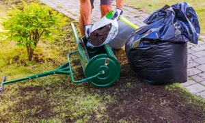 Piaskowanie trawnika: Zrób to sam! Klucz do zdrowej i gęstej murawy