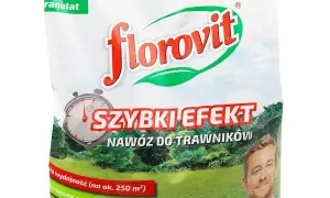 Nawóz do trawników Florovit Szybki Efekt. Granulat dla pięknej, gęstej trawy. Wydajność na 250 m².