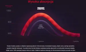 Wykres pokazuje wysoką absorpcję kreatyny. Kiedy brać kreatynę? Rocket Creatine zapewnia 100% wchłaniania.
