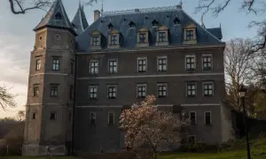 Zamek w Gołuchowie z kwitnącą magnolią. Sprawdź gołuchów cennik zwiedzania.