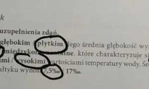 Czy Bałtyk jest płytki? Zaskakujące fakty o głębokości naszego morza