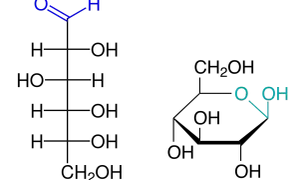 Chemische Strukturformeln: Formaldehyd (links) und Wasserstoffperoxid (rechts), relevant für den Benedict-Test.