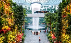 Im **Singapore Flughafen** erwartet Reisende eine üppige Oase mit einem beeindruckenden Wasserfall und einer Monorail, die durch tropische Vegetation fährt.