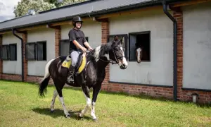 Młoda amazonka na karym koniu z białą grzywą przemierza trawiasty teren przed stajnią Equita Jeździecki Klub Sportowy w Świętochłowicach.