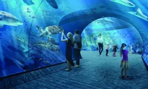 Oceanarium Kraków: Dlaczego nie ma dużego oceanarium w mieście?