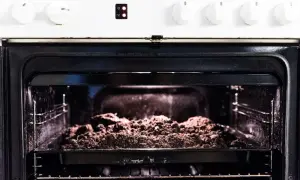 An open oven with a baking tray filled with soil on the rack.