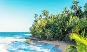 En tropisk strand i Costa Rica med vajande palmer, turkost hav och en liten grupp människor som njuter av solen.
