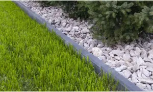 Obrzeża trawnikowe z kostki betonowej oddzielają soczystą zieleń od kamiennego żwiru i iglastego krzewu.